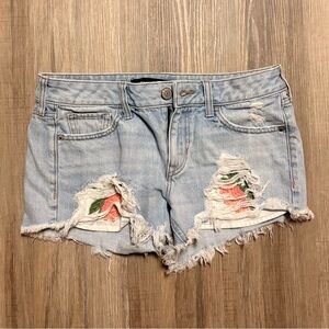 Express Sky Blue Denim Pants Floral Embroidery